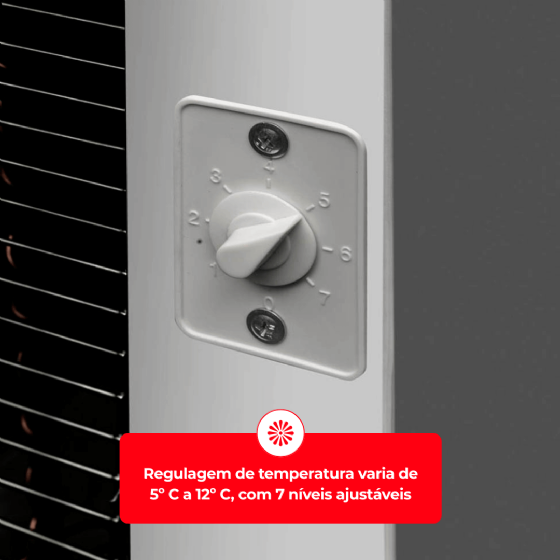 Bebedouro Industrial de Coluna 2 Geladas Inox 25 Litros 110v Frisbel